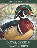 Ducks, Geese & Waterbirds: An Adult Coloring Book