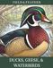 Ducks, Geese & Waterbirds: An Adult Coloring Book