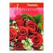 afie MX-3013 Grote kaart maxi A4 felicitatie verjaardag - roze madeliefjes bloemenboeket
