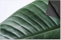 Dietrix Inductie Beschermer - 78x52 - Leaves - 3 Wit met groen blad
