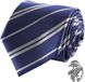 Cinereplicas Harry Potter: Deluxe Box Set Ravenclaw Necktie