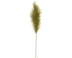 Buitengewoon Boet Buitengewoon de Boet Pampas Gras 60 cm Mos groen kunstplant