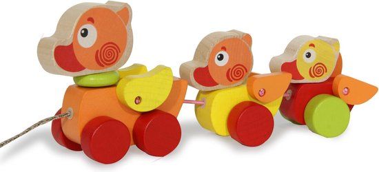 Walk-a-Long Jamara Houten Walk-a-long Eendjes