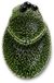 Byon Olive olijfschaal 22x14x5cm groen