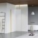 Fortifura Galeria inloopdouche - 40x200cm - mat glas - plafondarm - PVD - geborsteld messing (goud)