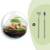 UrbanJngl Merkloos Terrarium - Dome Red - 20 cm - Ecosysteem plant - Kamerplanten - DIY planten terrarium - Mini ecosysteem + Hark + Schep