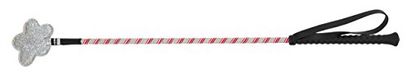 Covalliero Kerbl Kinderen Gerte Springzweef, 65 cm, roze-zilver, met mepper