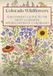 Colorado Colorado Wildflowers: A Beginner’s Guide to the Most Common Wildflowers of Colorado