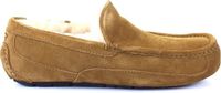 UGG Pantoufles pour hommes Ascot - Marron - Taille 40.5