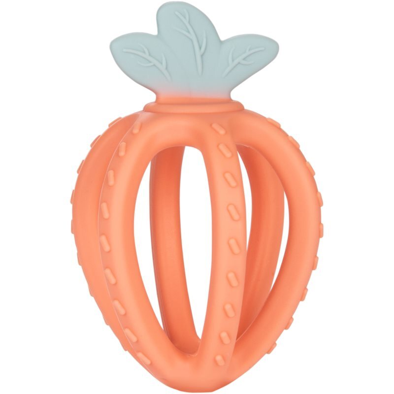 Canpol babies Silicone Sensory Teether