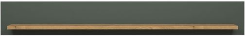 trendteam wandplank dennengroen decor gelamineerd 156x22x22 cm