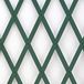 Treplas Green Retractable PVC Trellis 1.00 x 3 m for Wall Support of Flowers and Climbing Plants