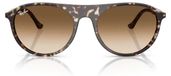 Ray-Ban RB 2215 143151 Modieuze zonnebril