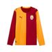 PUMA Galatasaray SK Maillot à manches longues Domicile 26/27 Homme Rouge XL