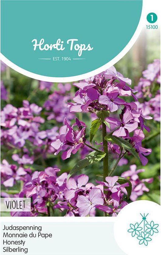 Hortitops Zaden Lunaria Judaspenning Violet