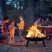 QEENTOE Vuurkorf, diameter 76 cm, rond, multifunctionele gietijzeren metalen schaal met handgrepen en 3 afneembare steunpoten, geschikt voor tuinverwarming, barbecue en feesten