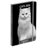 Draeger Paris zakagenda 2024