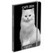 Draeger Paris zakagenda 2024