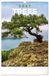 Presco Bomen Kalender 2027 Groot Wandkalender Natuur 46 cm x 3986 cm