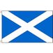 AZ FLAG Vlag Schotland lichtblauw 150x90 cm
