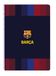 F.C. Barcelona 1. Team 26/27 carnet