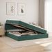 Maison Exclusive Lit De Rangement Vert Foncé 200 x 200 cm Velours