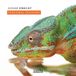 Personal Edgar Knecht - Personal Seasons