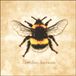 Lanarte Borduurpakket - Bombus lucorum - 21 x 21 cm