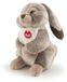 Lapin en peluche en lin, 18x29x22 cm, couleur marron, lavable