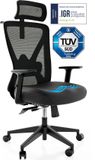 Backerz Ergonomique Chaise de bureau - Noir