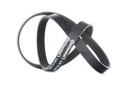 CONTITECH 5PK1121 Extra V-riem