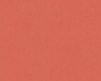 ARCHITECTS PAPER EFFEN MAT BEHANG | Basic - rood - Art of Eden