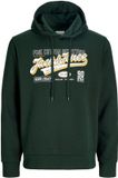 Jack & Jones Hoodie Hoodie Scarab