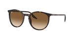 Ray-Ban RB2204 902/51 - Bruin