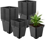 Garronda Set de 50 pots de culture carrés en plastique avec trous de drainage pour jardin (Noir, 18 x 18 x 18 cm (4L)) GD-KW-S
