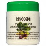 BINGOSPA HORSE CHESTNUT EXTRACT & TEA TREE OIL FOOT CARE SALT VOETZOUT 550 GRAM