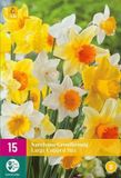 Jub Holland Narcissen Grootkronig Mix - 15 stuks