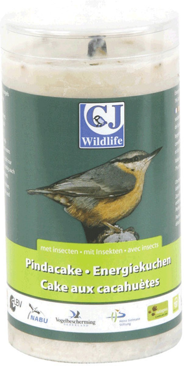 - Pindacake met insecten