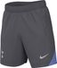 NIKE Tottenham Hotspur Herren Dri-fit Strike Short Kz Shorts Homme