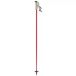 Salomon Atomic AMT Carbon Skistokken