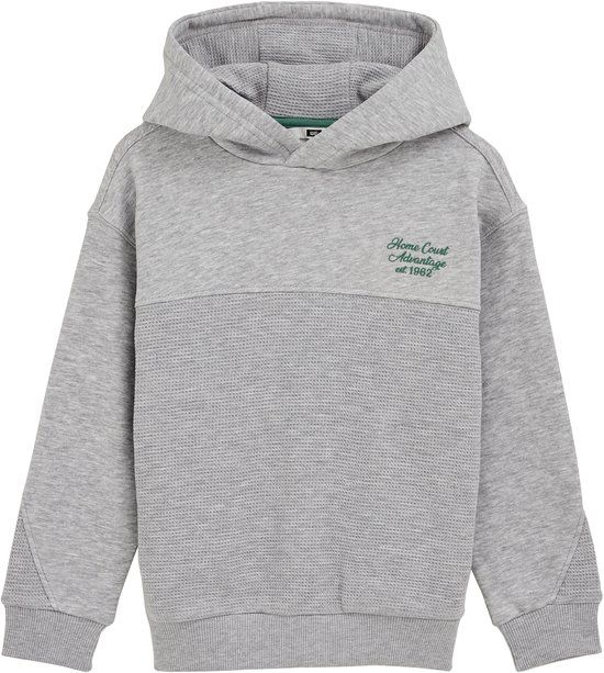 WE Fashion Jongens hoodie met structuur
