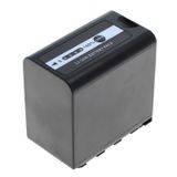 Panasonic Batterie VW-VBD78 pour caméscope