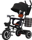 Livista® Tricycle 2-en-1 - Zwart