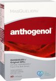 Masqueliers Anthogenol Capsules - 8717185241020