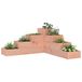 Maison Exclusive Échelle à plantes à 4 marches, 80,5 x 79 x 36 cm, bois de douglas massif