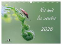 Nos CALVENDO Nos amis les insectes (Calendrier mural 2027 DIN A3 vertical)