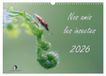 Nos CALVENDO Nos amis les insectes (Calendrier mural 2027 DIN A3 vertical)