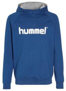 Hummel voetbalhoodie blauw