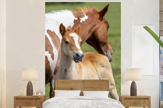 Nr1Wallpaper Behang - Fotobehang Paarden - Veulen - Gras - Breedte 225 cm x hoogte 350 cm