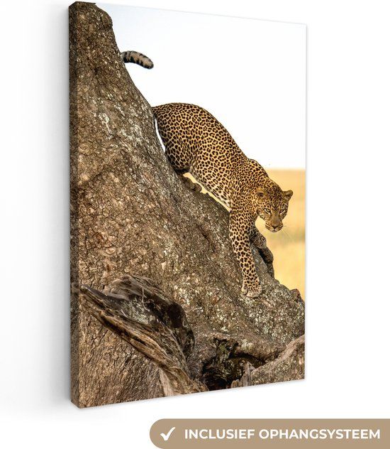 OneMillionCanvasses Canvas schilderij - Luipaard - 20x30 cm